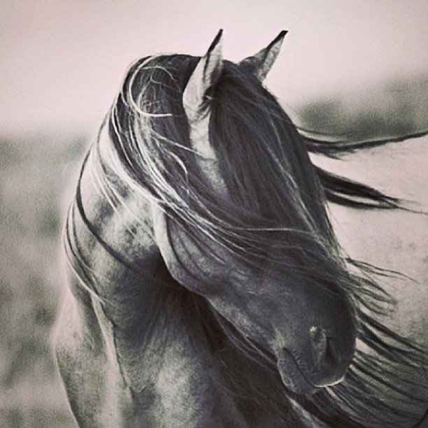 majestic...