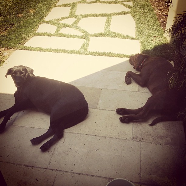they're sleepy ...