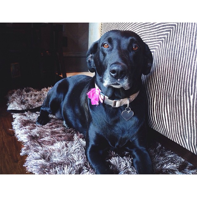 she was modeling for me ...