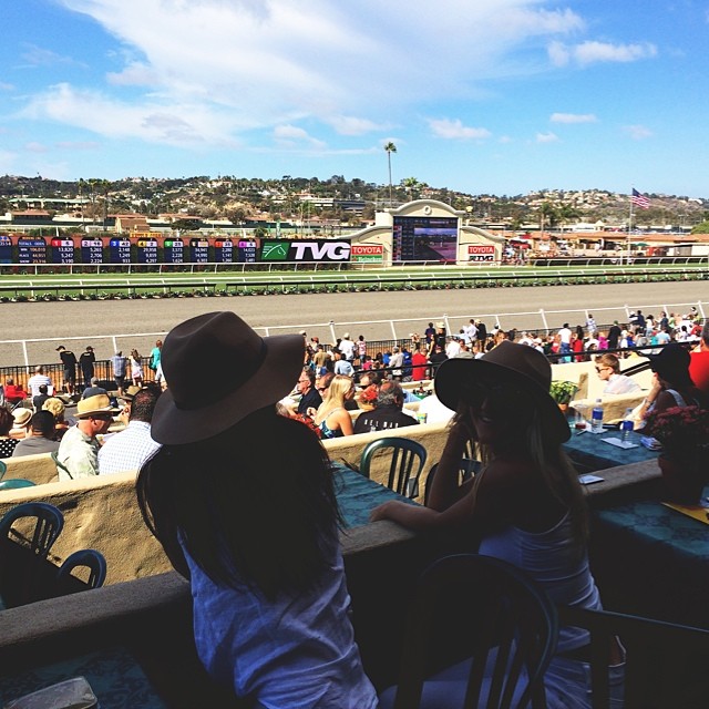 off to the races! ...
