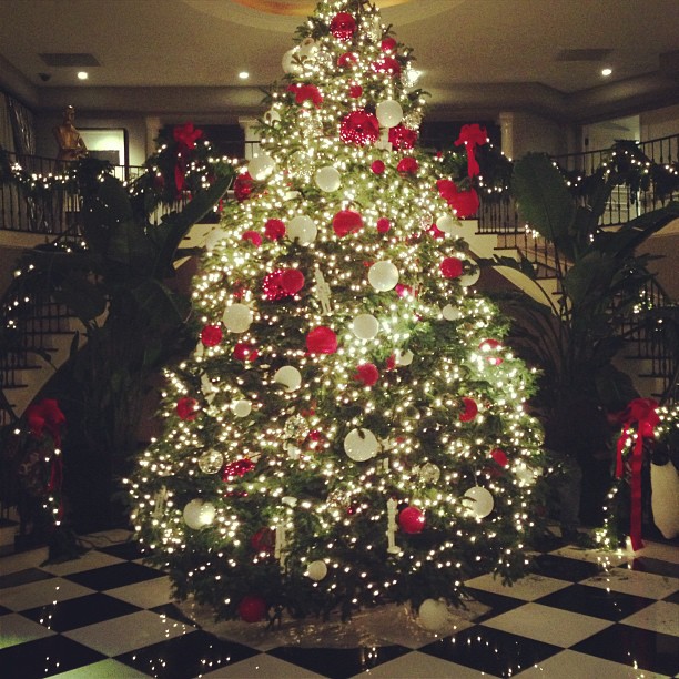 coming home to this > #GreatestTimeOfYear...