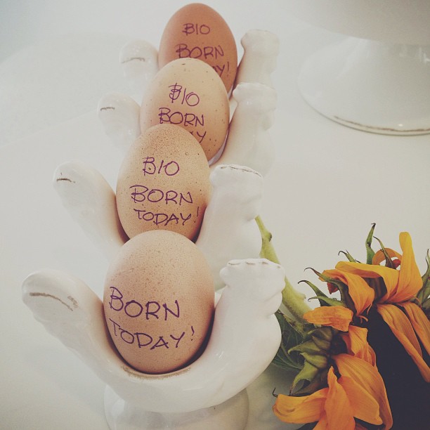 nothing like fresh eggs in the morning...