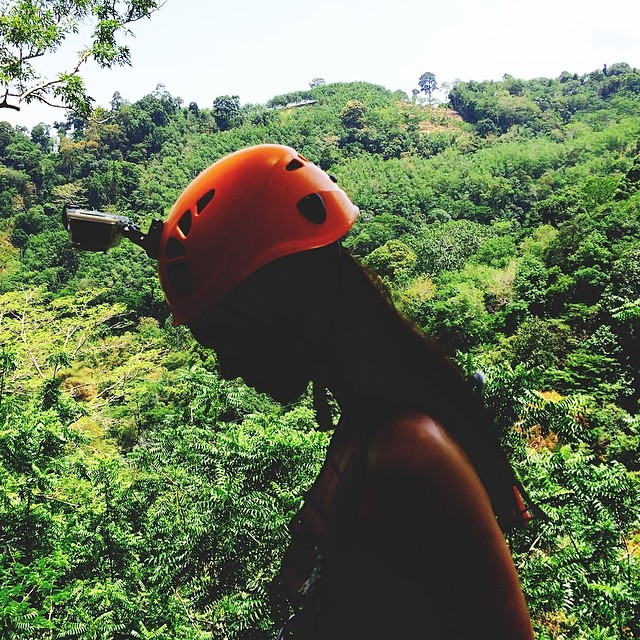 looking for the dinosaurs...