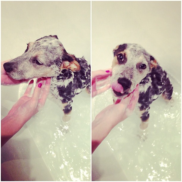 bath timee...