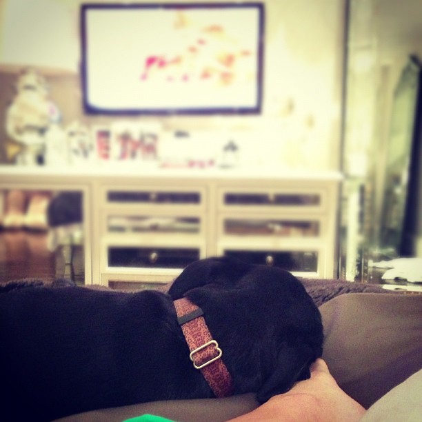 watching Harry Potter with her. my foot is her pillow ...