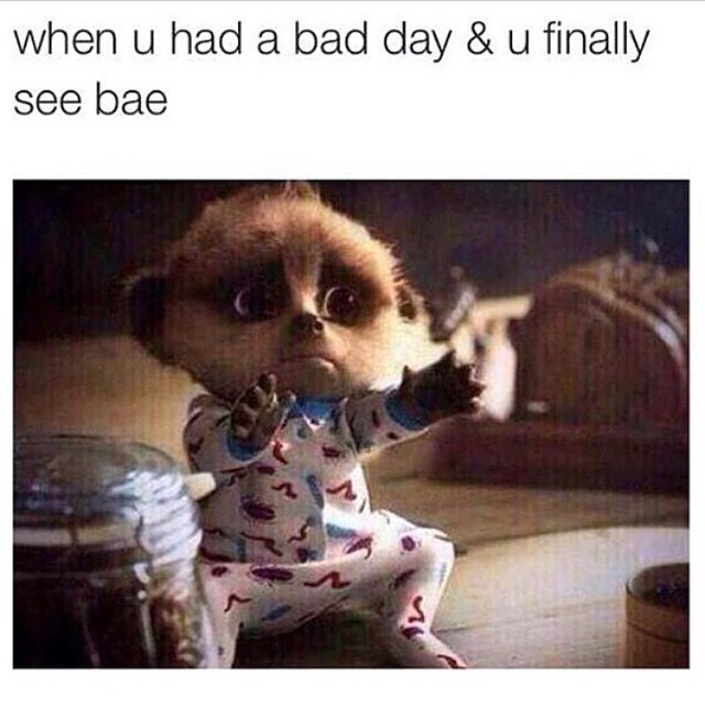 repost @golden_barbie ...