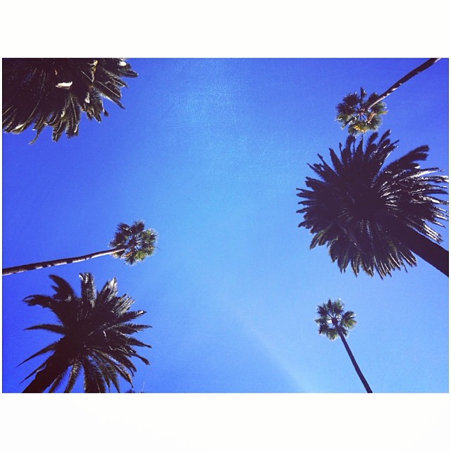 perfect day...