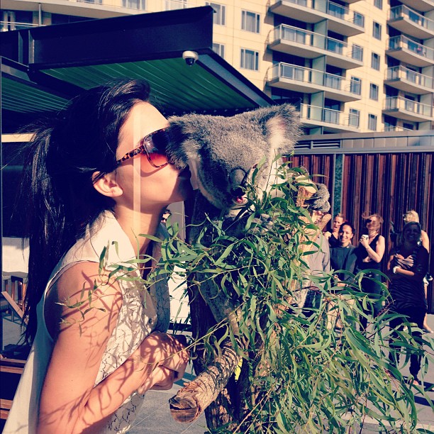 good morning Australia! ...