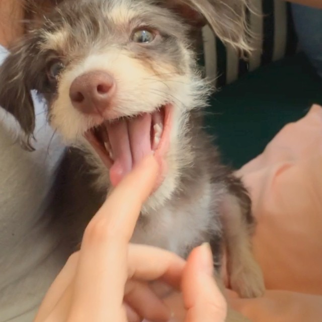 this is Chloe!...