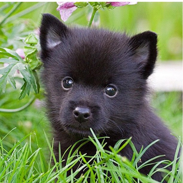 stop it. I want you!...