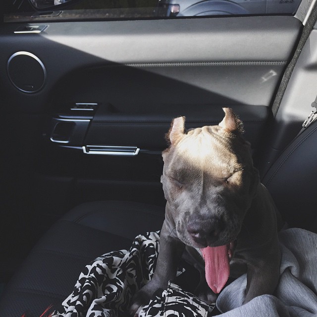 auntie Kenny carpooling the little monster...