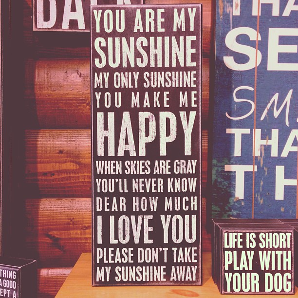 life is short, play with your dog....
