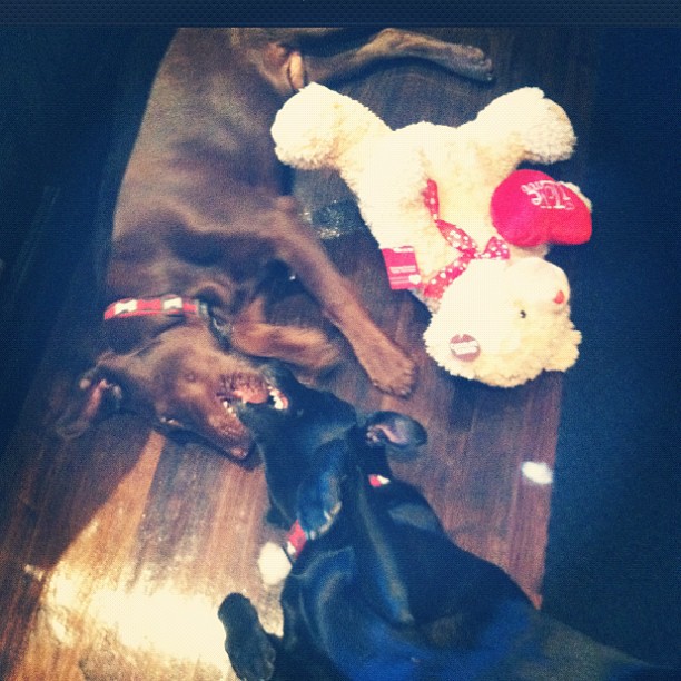 It's love!  ...