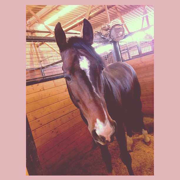 he is undoubtably MY valentine ...