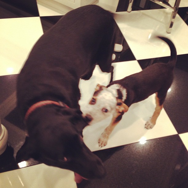 all he does is annoy her #GoodSport ...