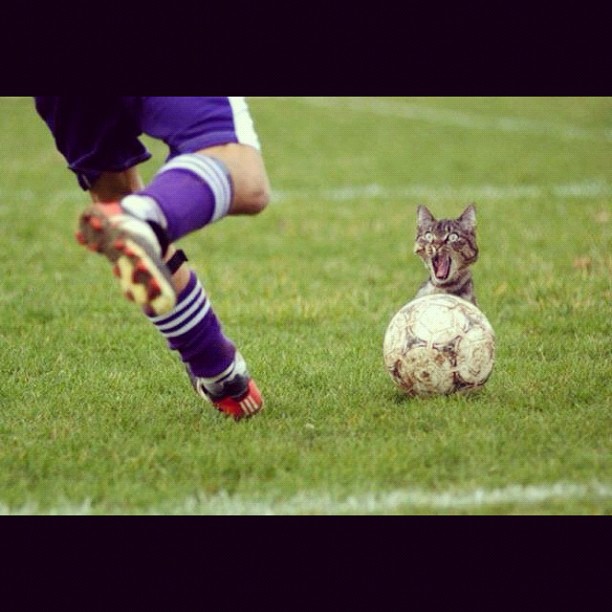 #picoftheday #hehe  ...