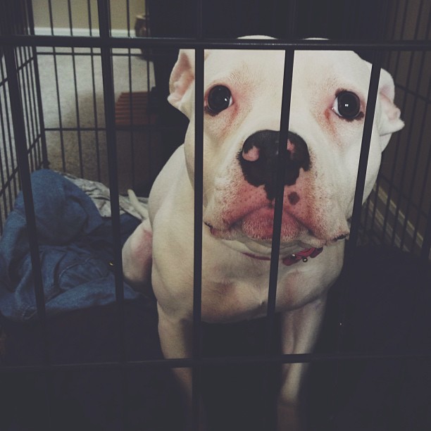 how could you say no to disss faceee! #prettygirl...