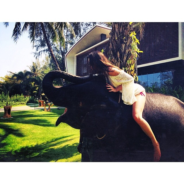 throwback to elephant kisses in Thailand ...