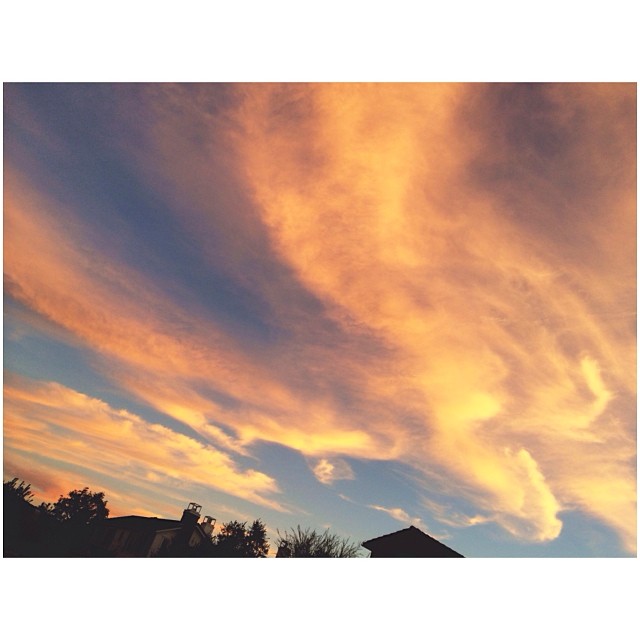 all those times we looked up at the sky......