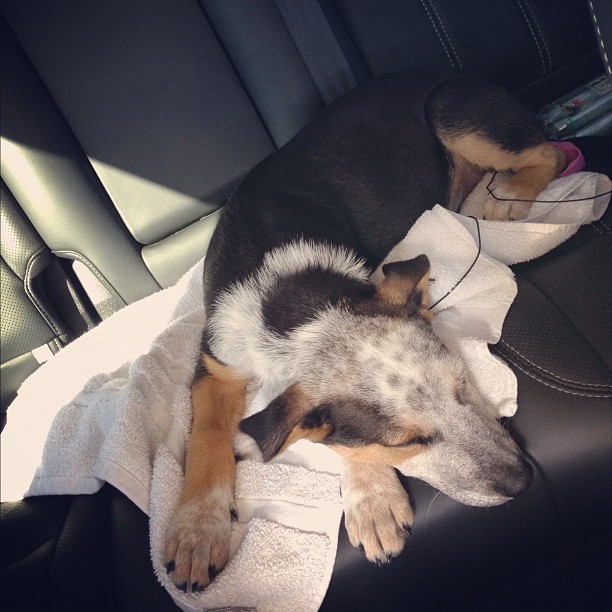 little dreamer...