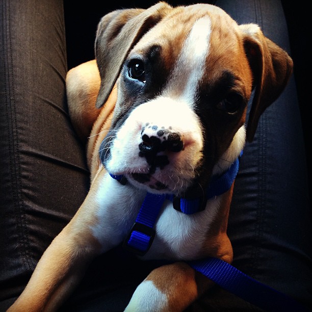 @khloekardashian  and Lamar's new baby!  weeee...