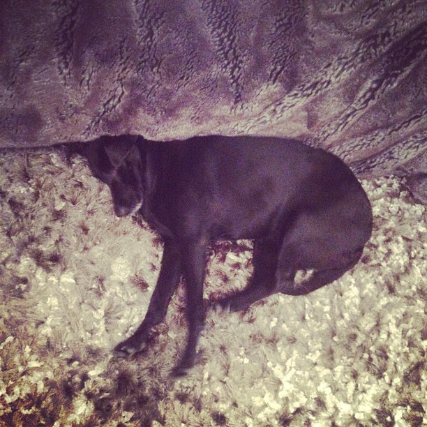 streeeetch...