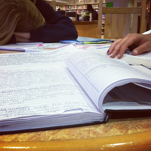 Workin hard! #studytwime @laraaslanian...