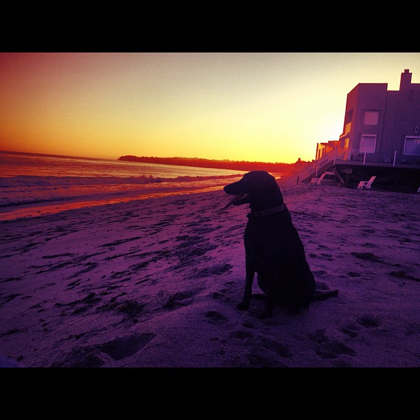 watching the sunset with her #truehomie...