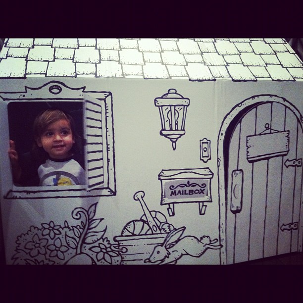 Masons playhouse ...