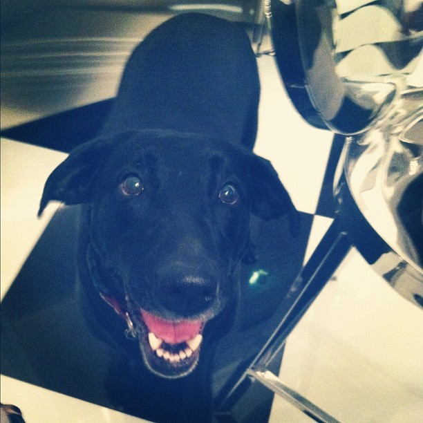 Her "I want food" face ...