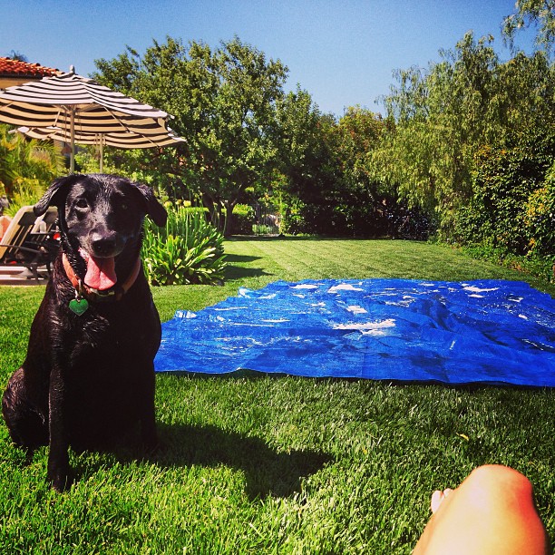 homemade slip n slide with mah girlll  #gabanna...