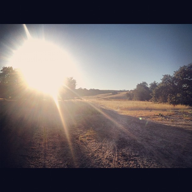 long walks #mythinkingtime  ...