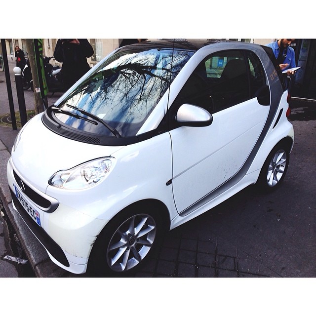 today's whip ...