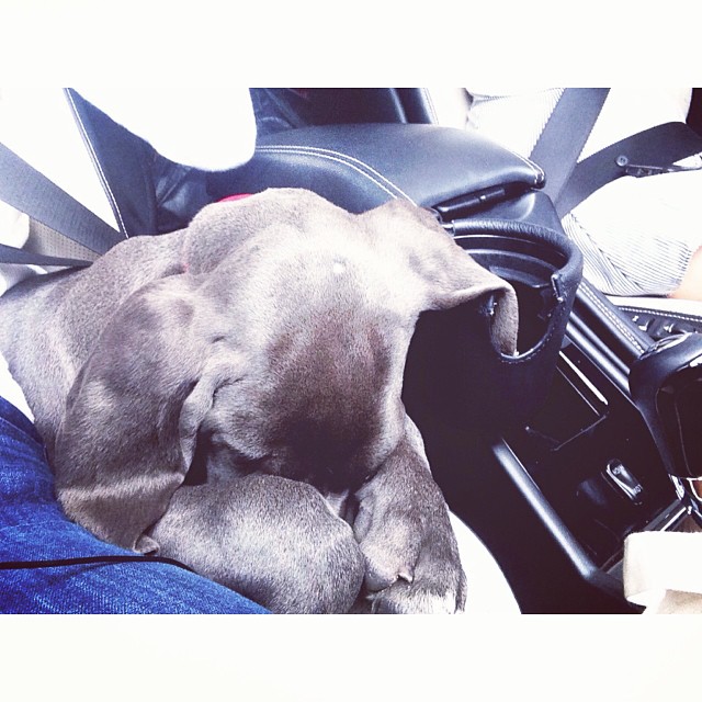 she's sleepy ...