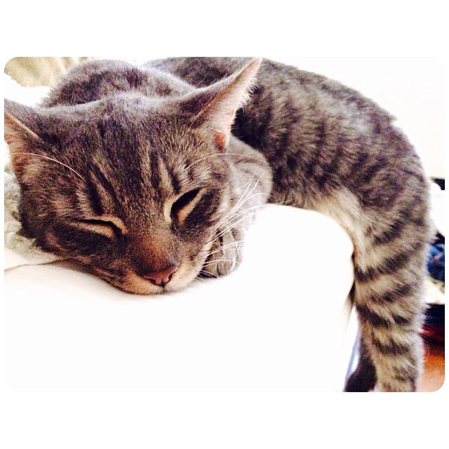 look at his face. so peaceful for dangling so precariously off the edge of the b...