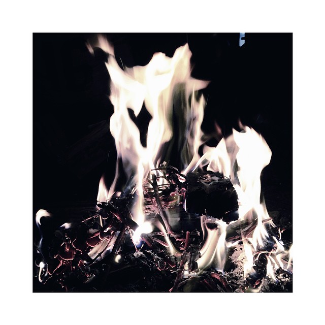 flower burn // higher bonfire...
