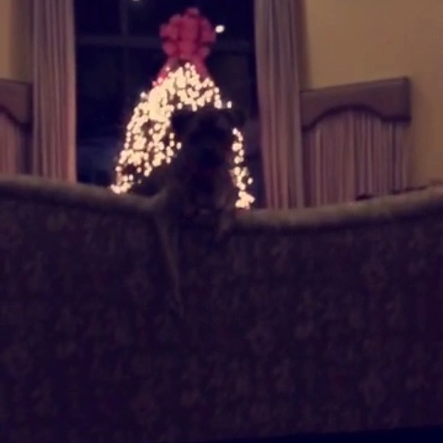 SHE'S SO FUNNY...