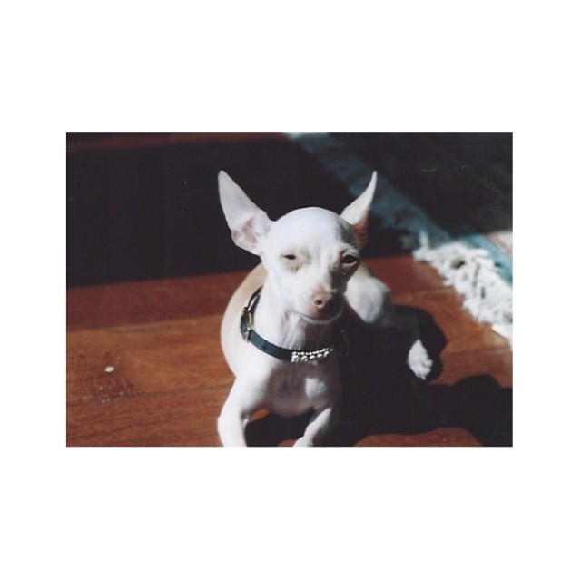 miss you my little man....