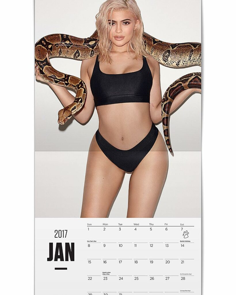 The KYLIEJENNER2017 calendar BY @terryrichardson available NOW on KylieJennerSho...