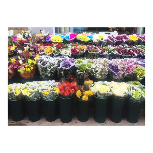 Brooklyn flowers...