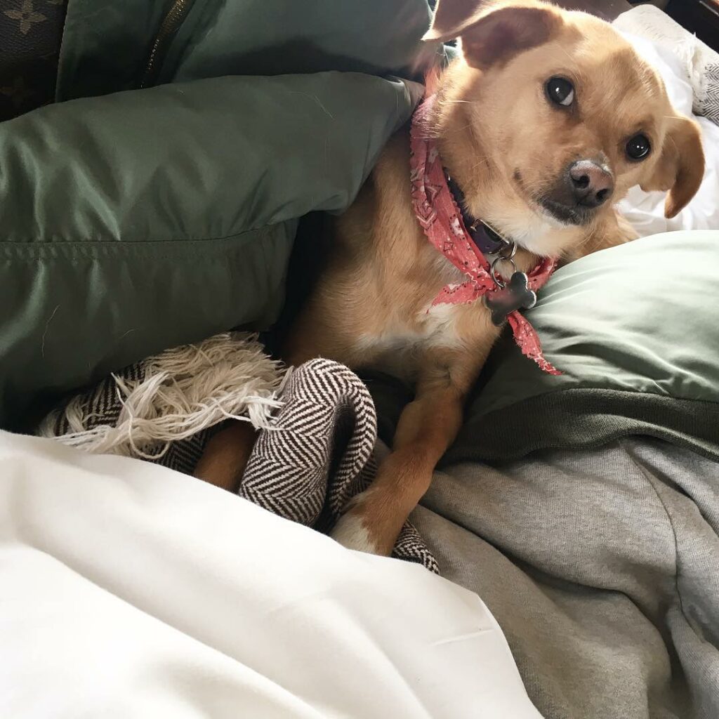 such poise, such charisma...