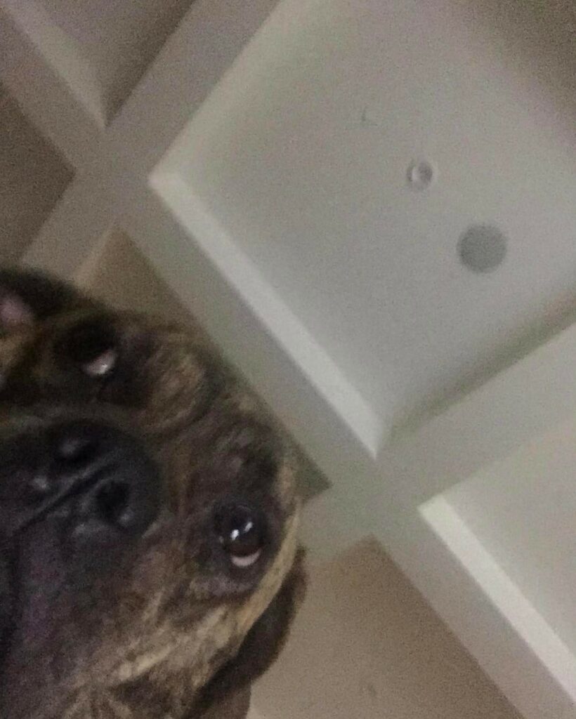 ...