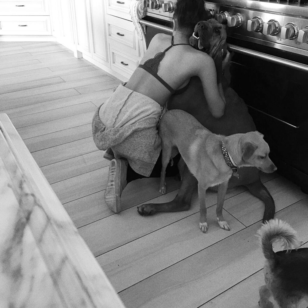 my Laf  the kindest soul on earth and completely unaware of her size. she knocks...