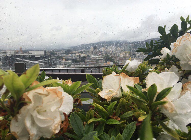 la so moody...
