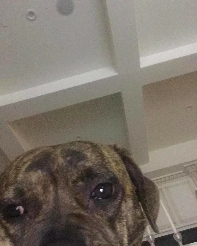 ...