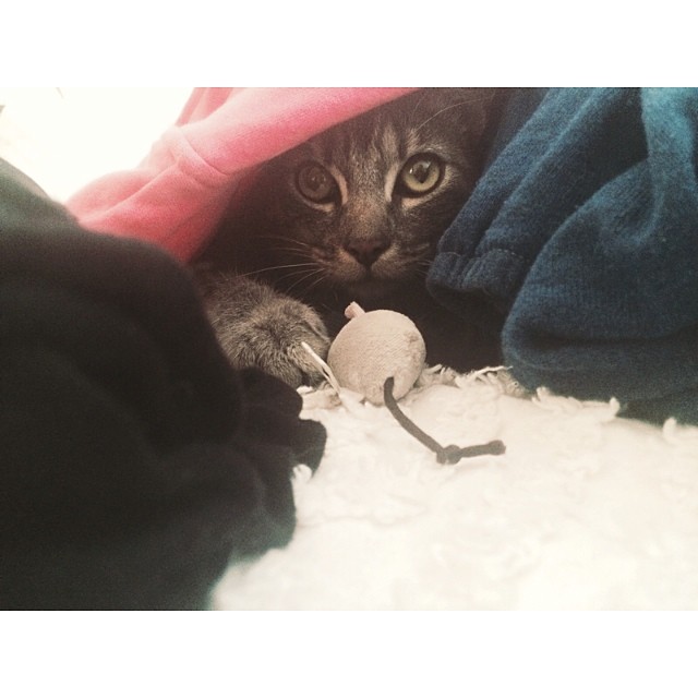 I'm laundry. I'm helping....