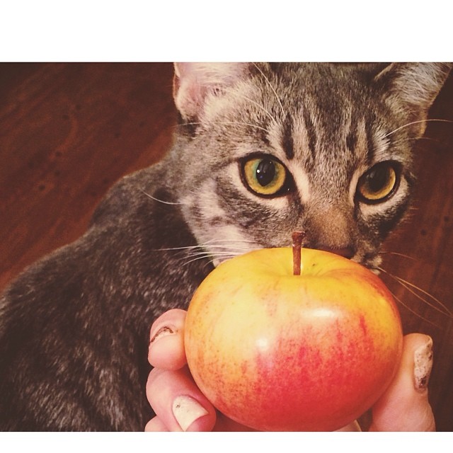 An apple a day keeps The Doctor...