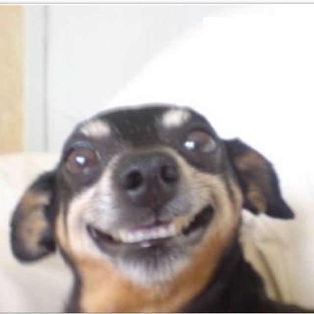 #selfiesundai ...