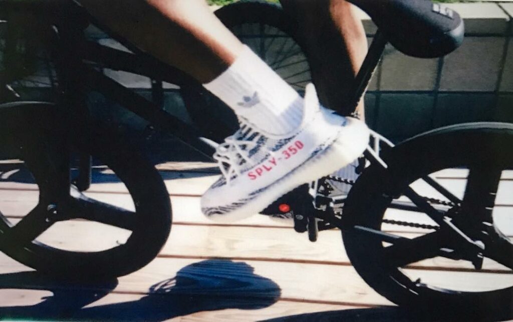 Zebra 350...