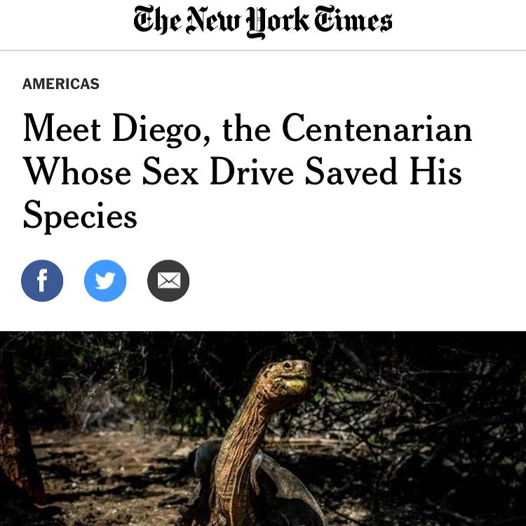 hero #GoDiegoGo...